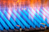 Bracky gas fired boilers
